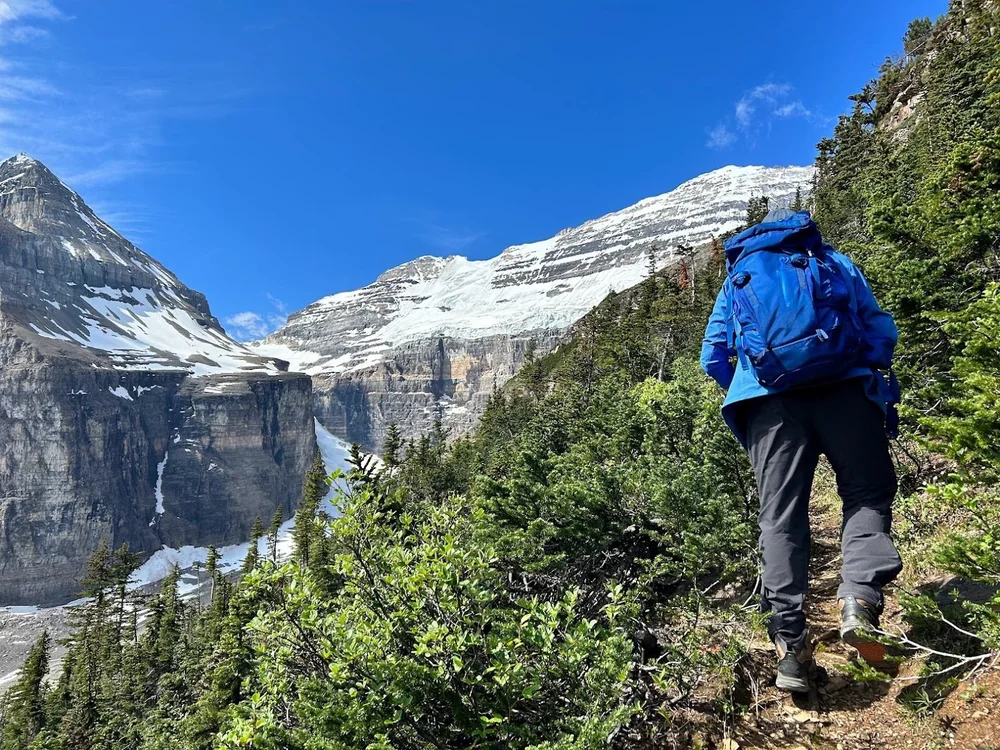 A hiker climbing through forest toward the Victoria Glacier on the Plain of Six Glaciers trail, Lake Louise