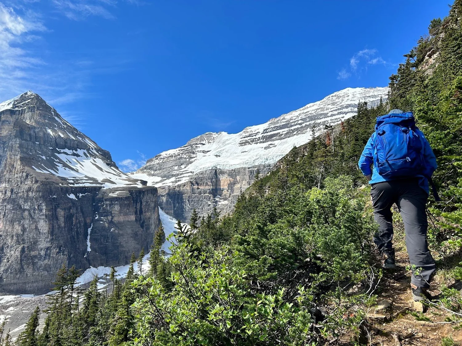 A hiker climbing the Plain of Six Glaciers trail toward Mount Victoria, above Lake Louise in Banff National Park