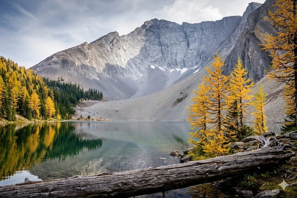 Following pristine mountain streams through the lush valleys of Yoho National Park. Huber Ledges of the Lake O'hara Alpine Circuit.