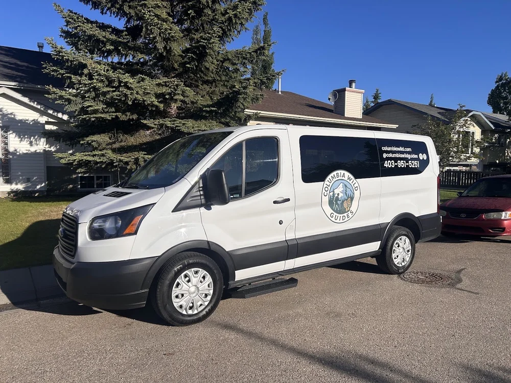 White Ford Transit 8-passenger private transfer van for Calgary Airport to Banff, Canmore and Lake Louise