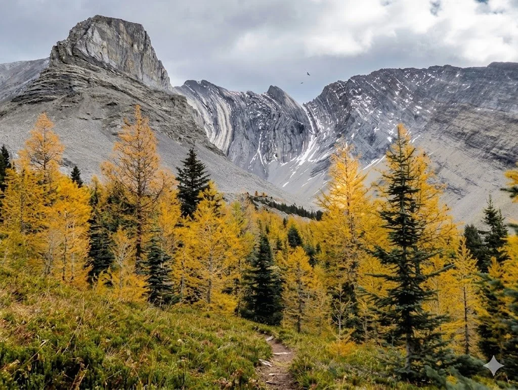 Classic Canadian Rockies landscape featuring clear water, dense forest, and towering peaks.