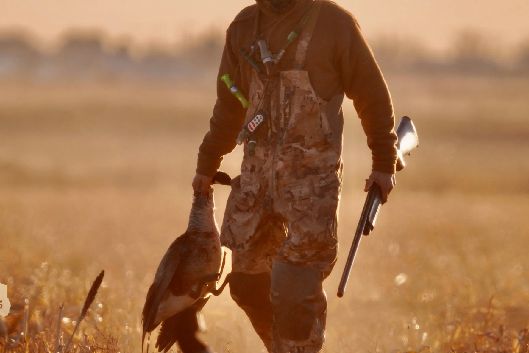 Hunter in camouflage overalls holding a canada goose in a field, carrying a shotgun.