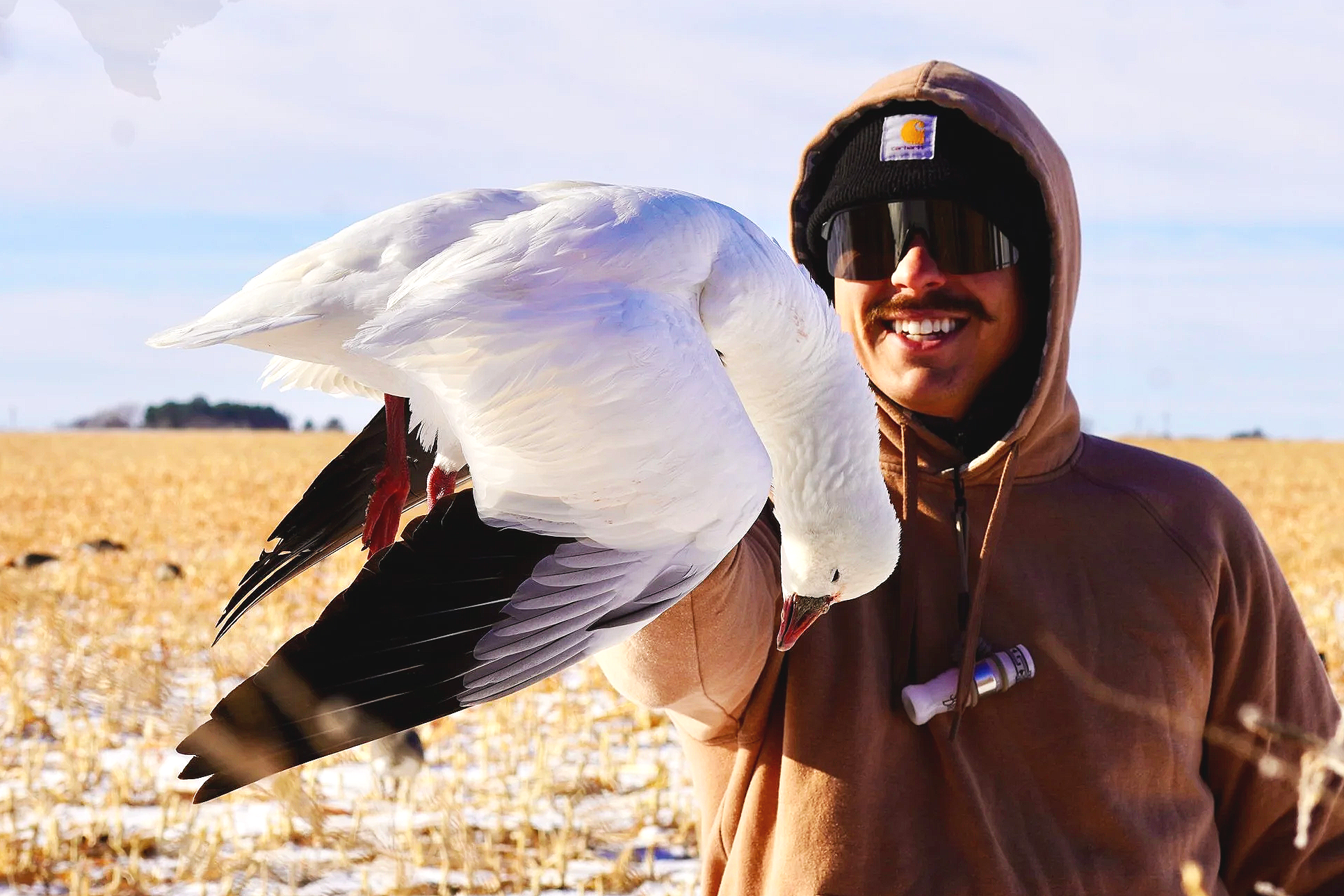 A man smiling and wearing sunglasses, a brown hoodie with a Carhartt logo, and a black beanie with a Carhartt logo, holding a large snow goose in a field.