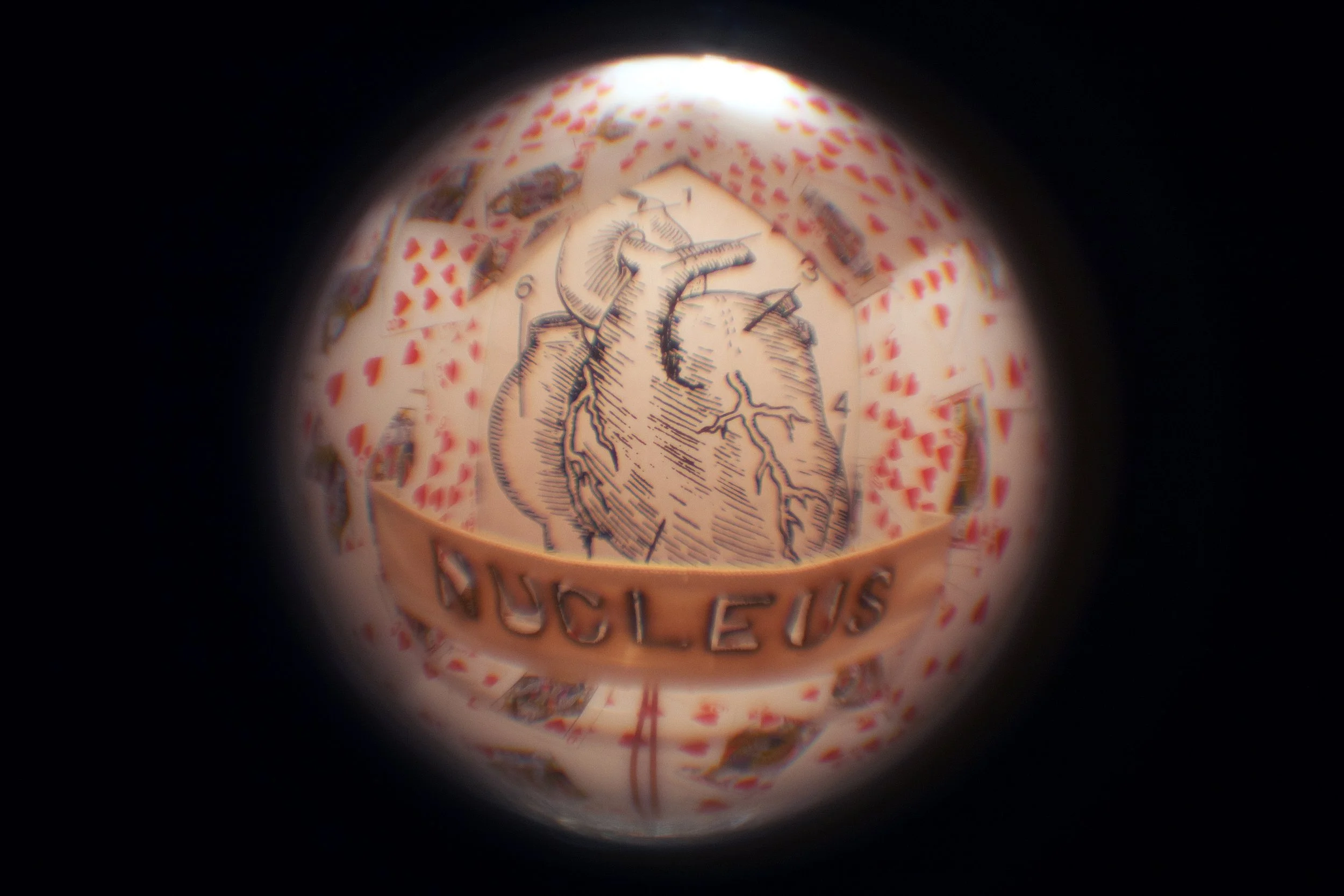 Silva_Artwork_Dec07_09 946 copy.jpeg