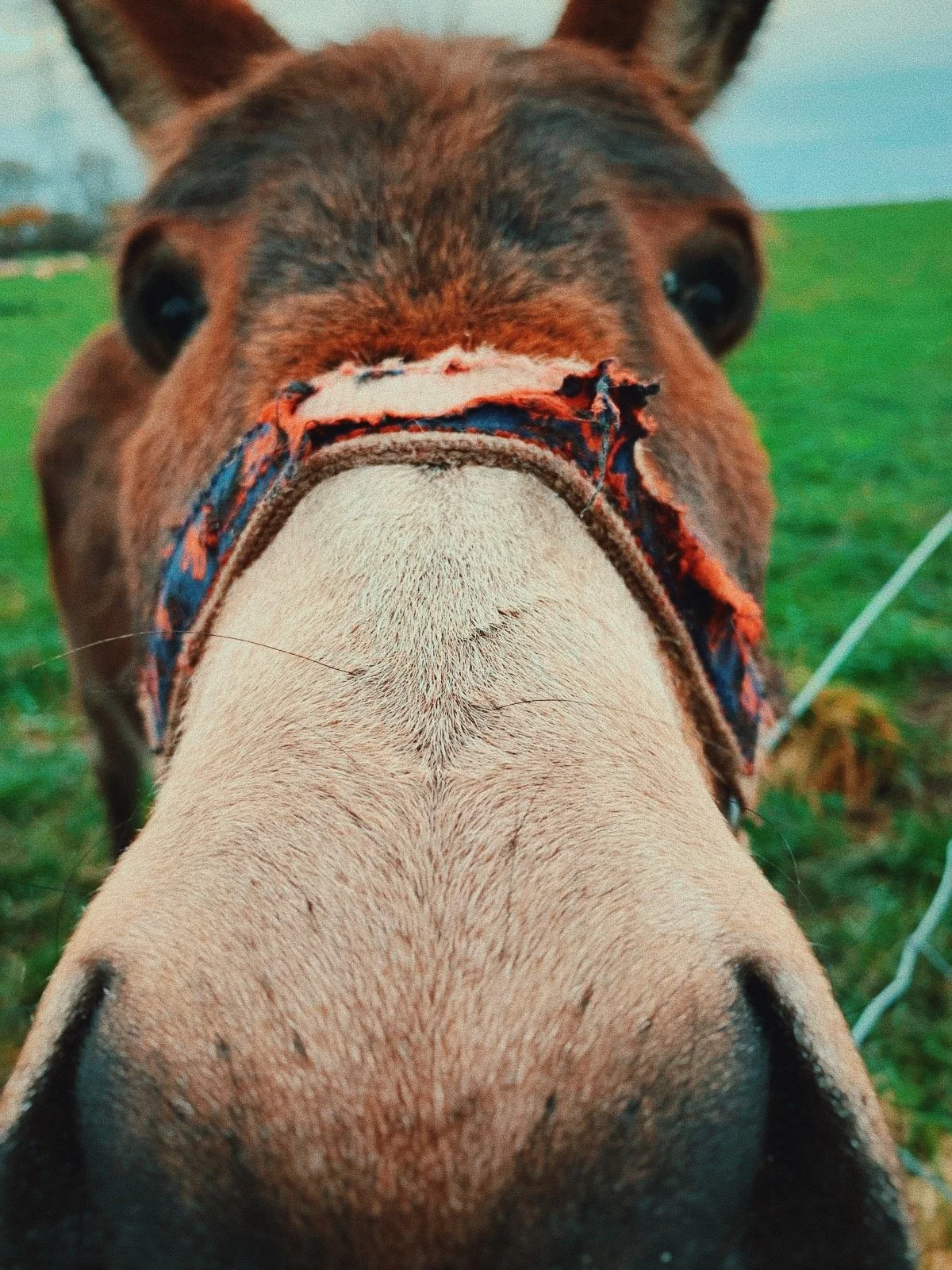 4f2e4339-9b69-4336-a27f-c098ad530912_VSCO.JPG