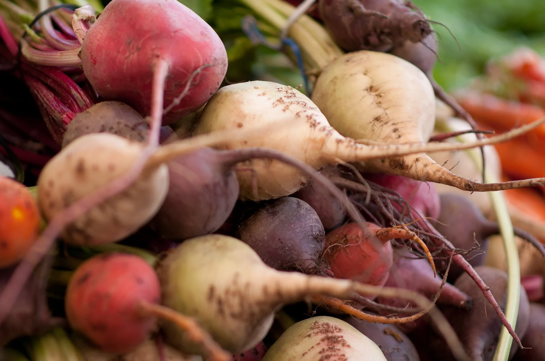 Collection of Nature