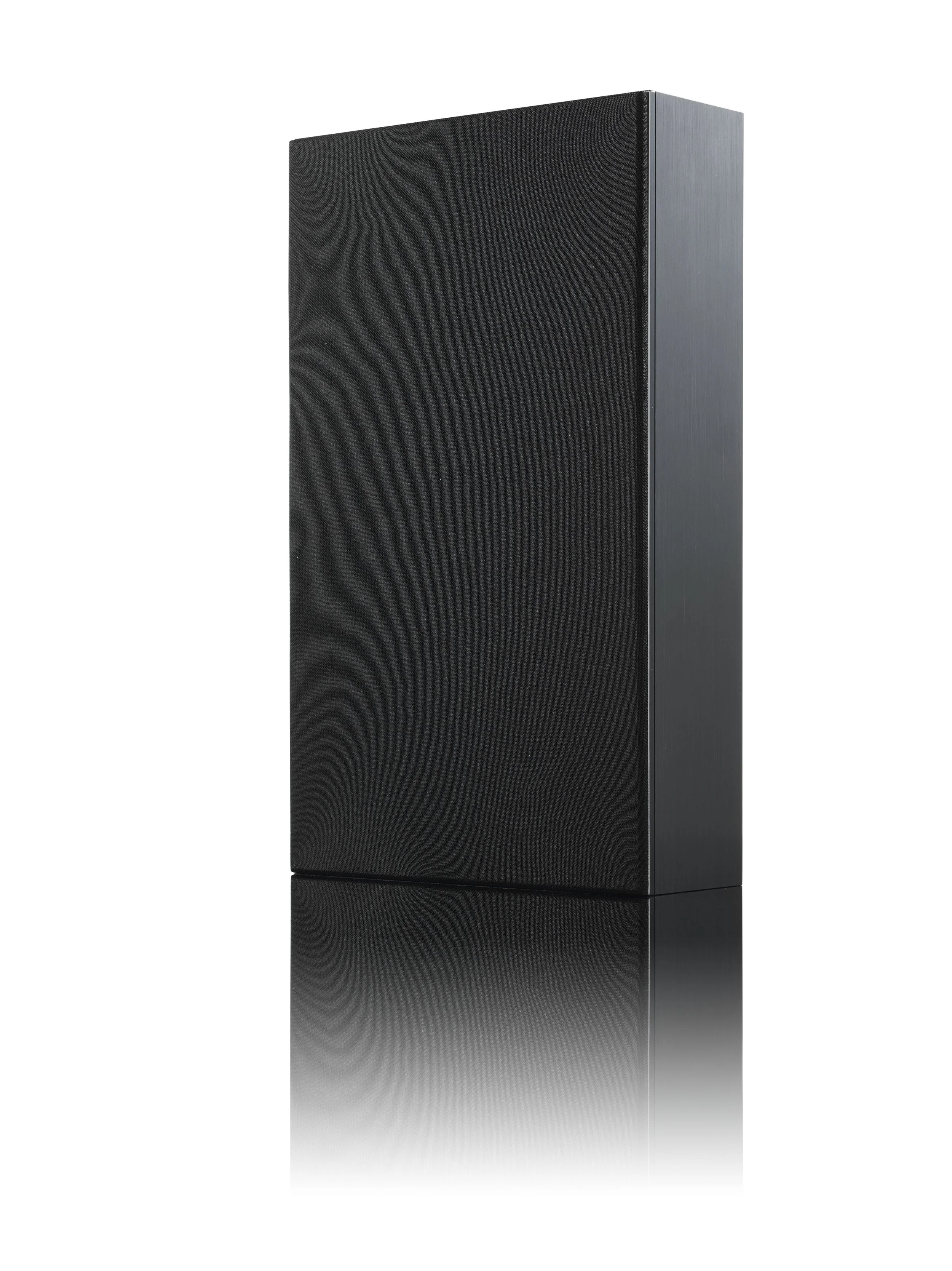 THE6 PRO PASSIVE with Grille.jpg