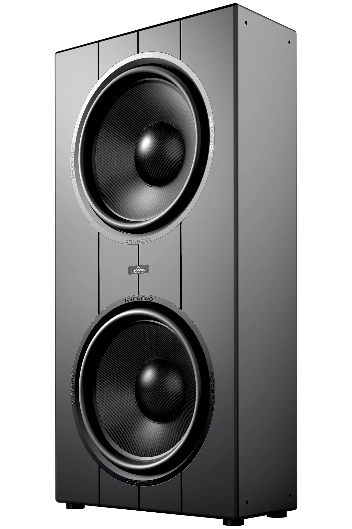 Ascendo THE19-2 Sub Pro Passive Sealed Shallow