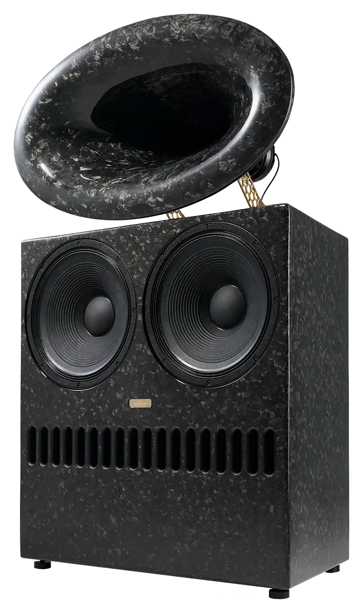 Ascendo The Black Swan Pro Active Ext Reference Cinema