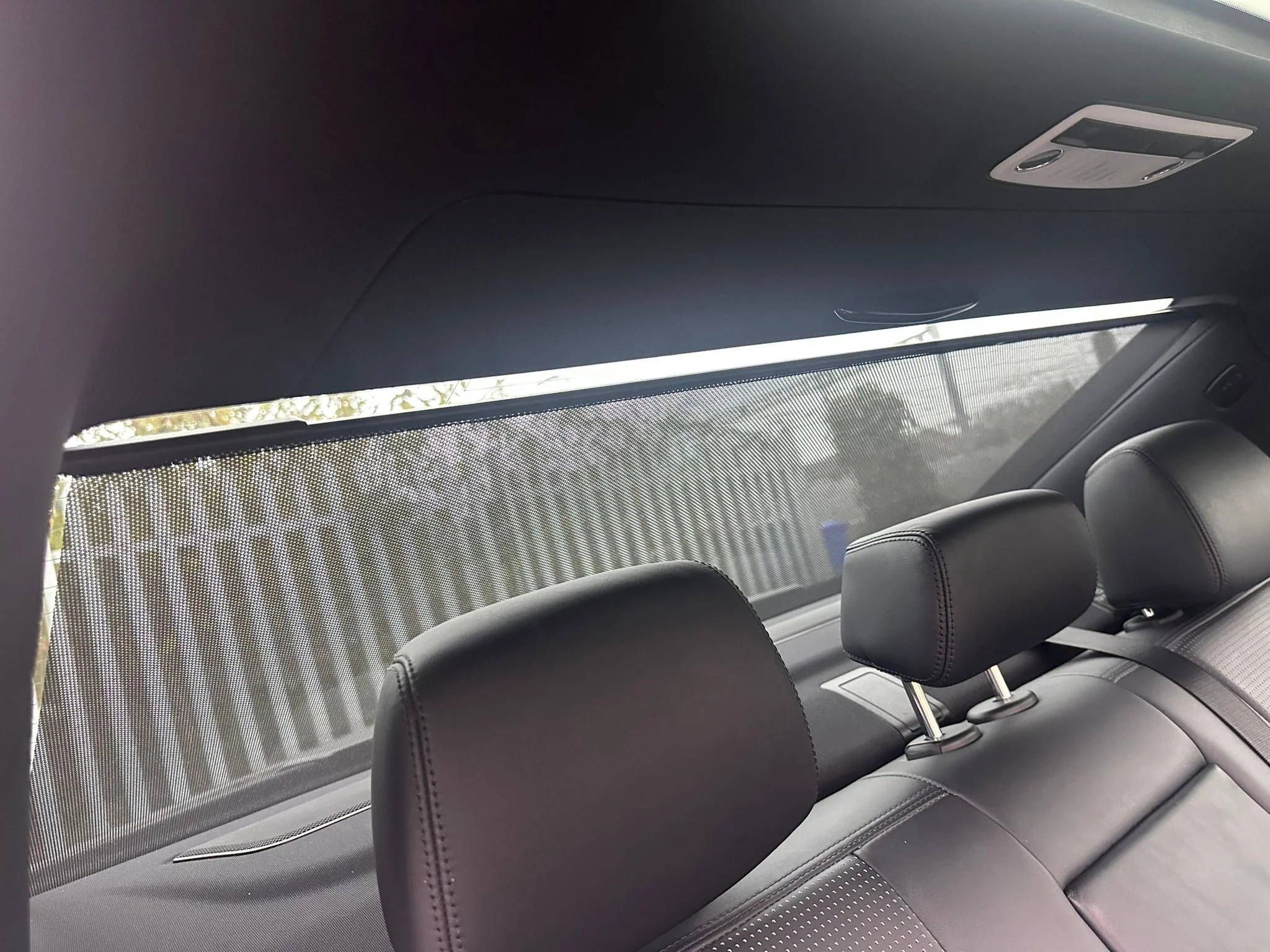 WhatsApp Image 2026-02-10 at 19.50.47.jpeg