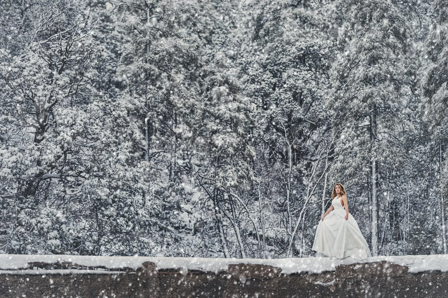 St. Louis Wedding-8786.jpg