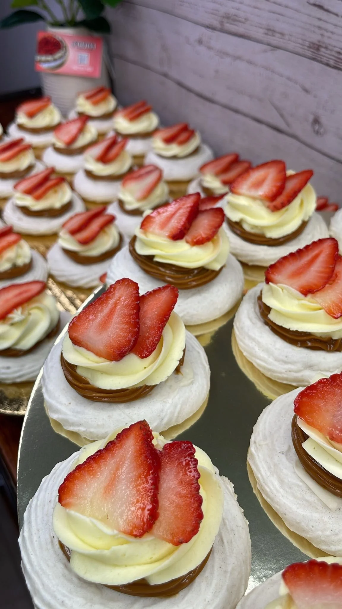 Pavlovas Mini