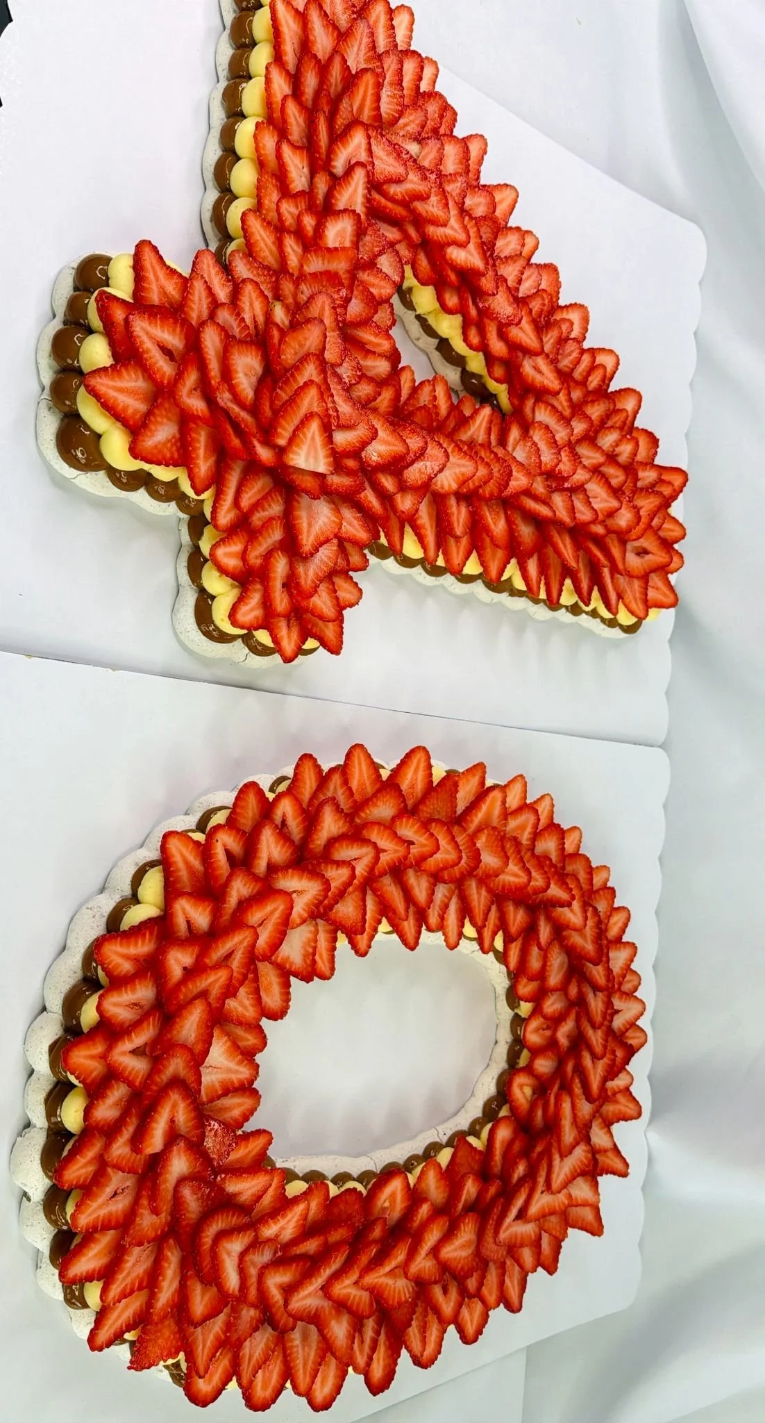 Pavlovas Numeros y Letras