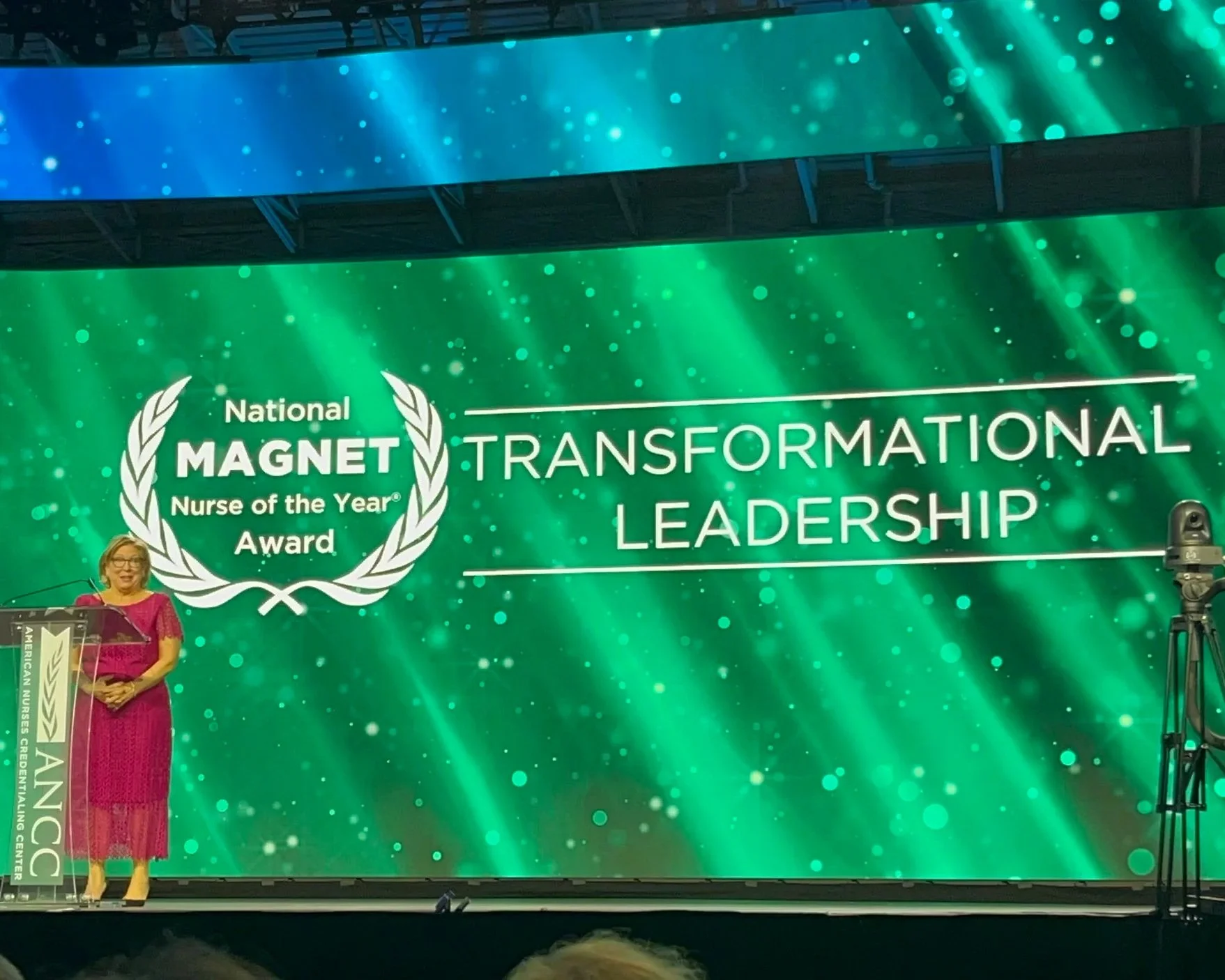 November 2024: ANCC National Magnet Nurse of the Year® Award 