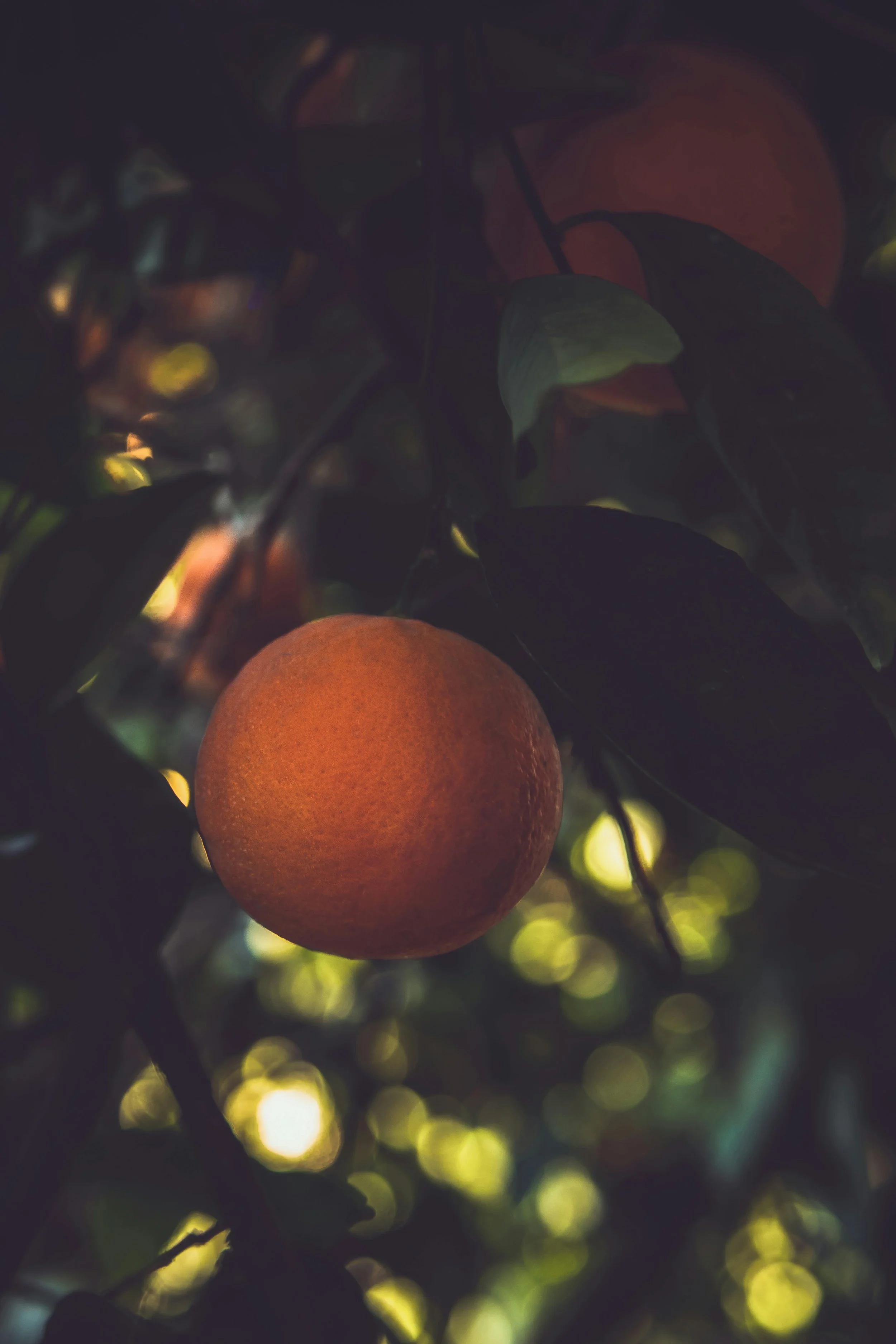 Cinematic Storytelling System