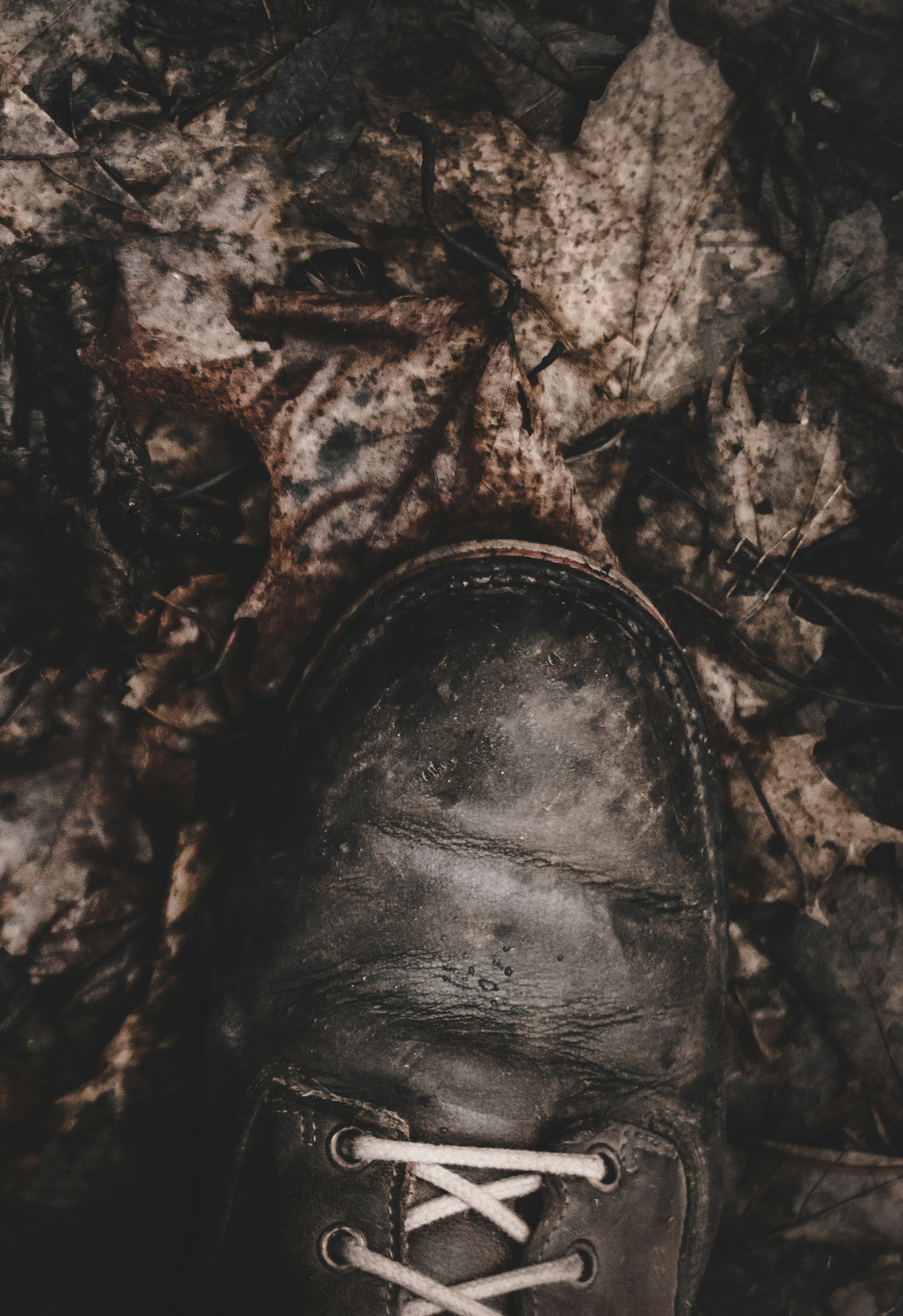 Close-up of a black boot on muddy, leaf-covered ground.
