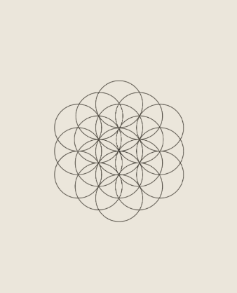 Flower of life