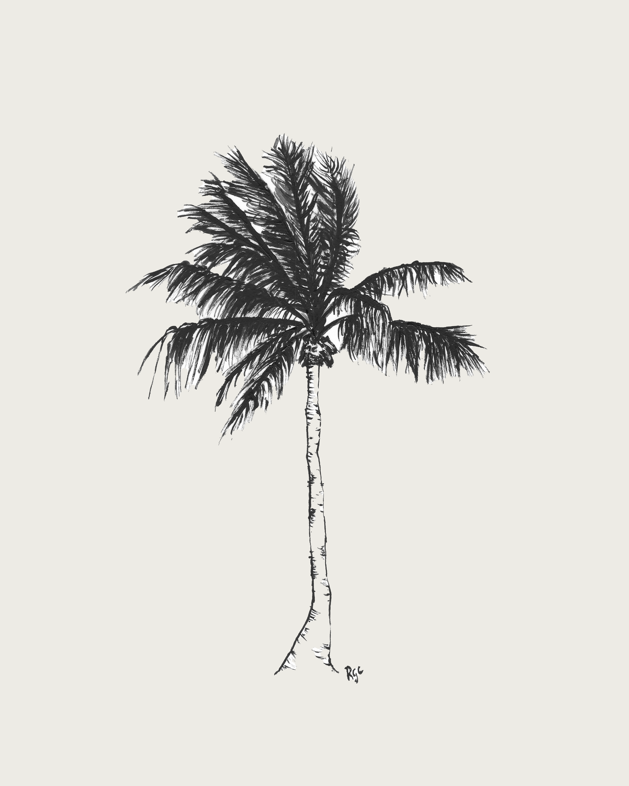 LONEPALM by Rachel George Cleveland