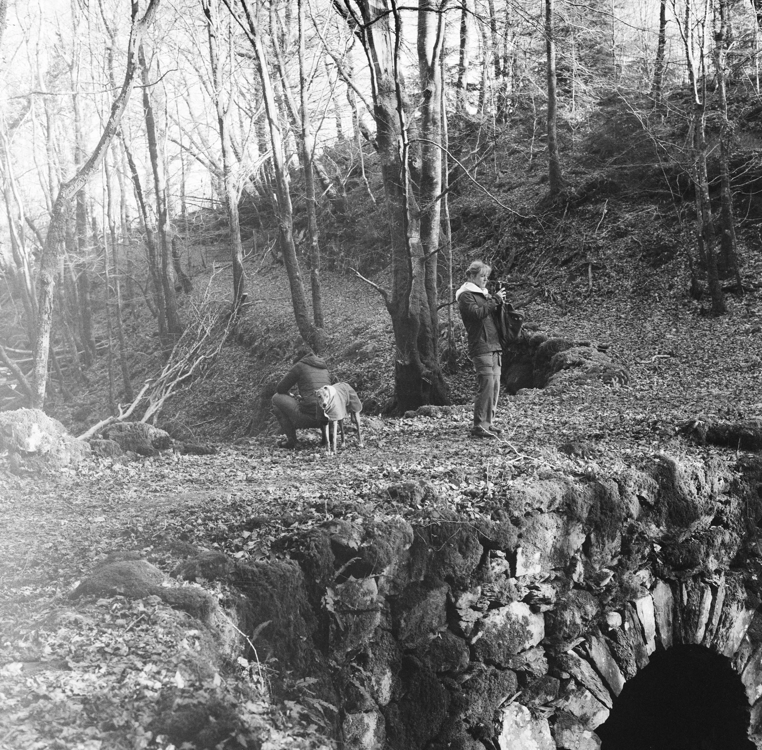 120 - Dolgellau - 2025