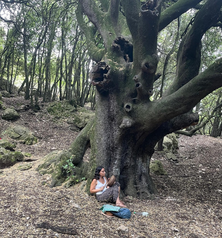 Une femme assise au pied d'un grand arbre dans une forêt, avec des sacs et une bouteille d'eau à côté.