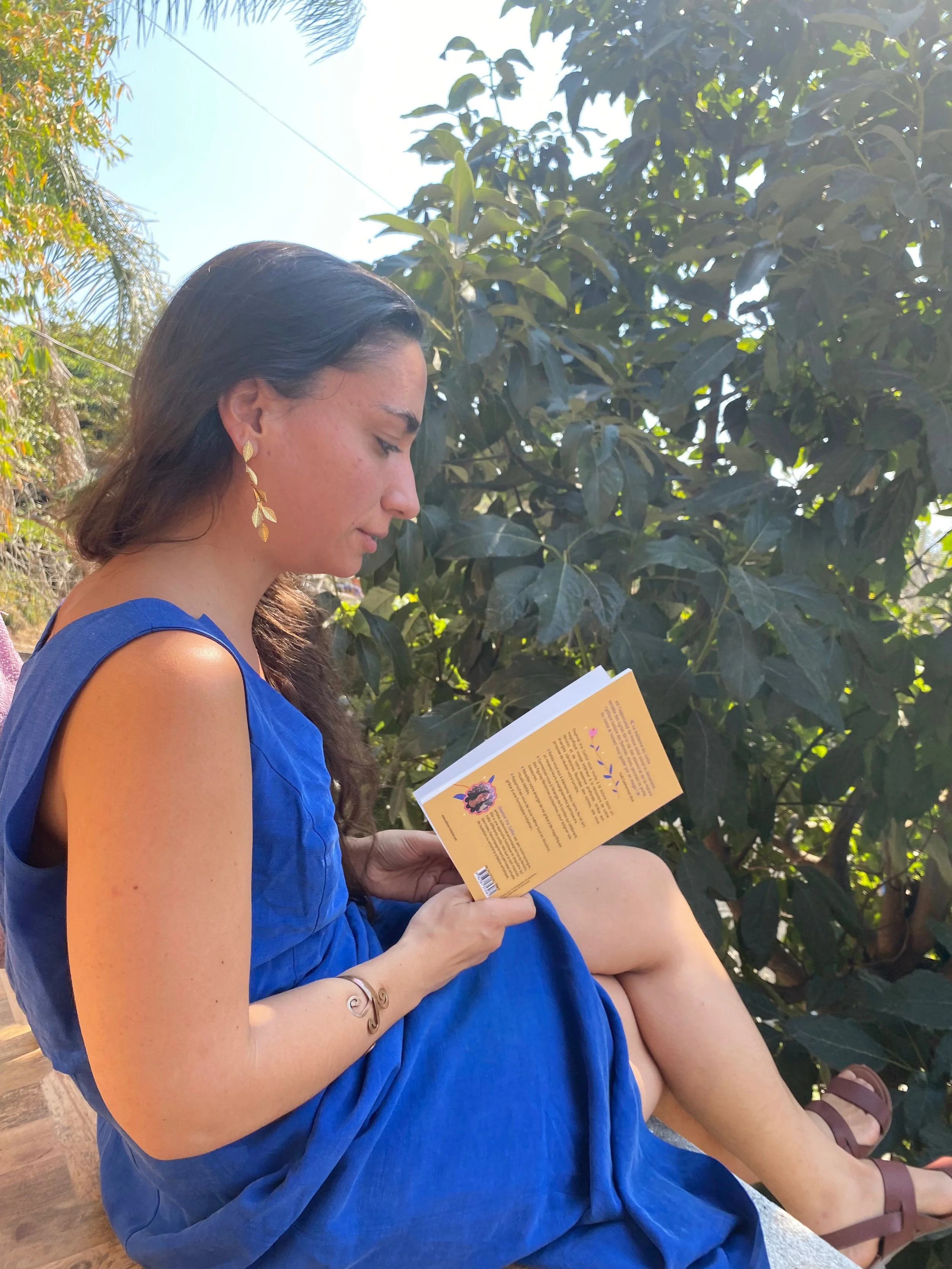 guerir son feminin avec les 4 éléments livre daphné iris caillol
