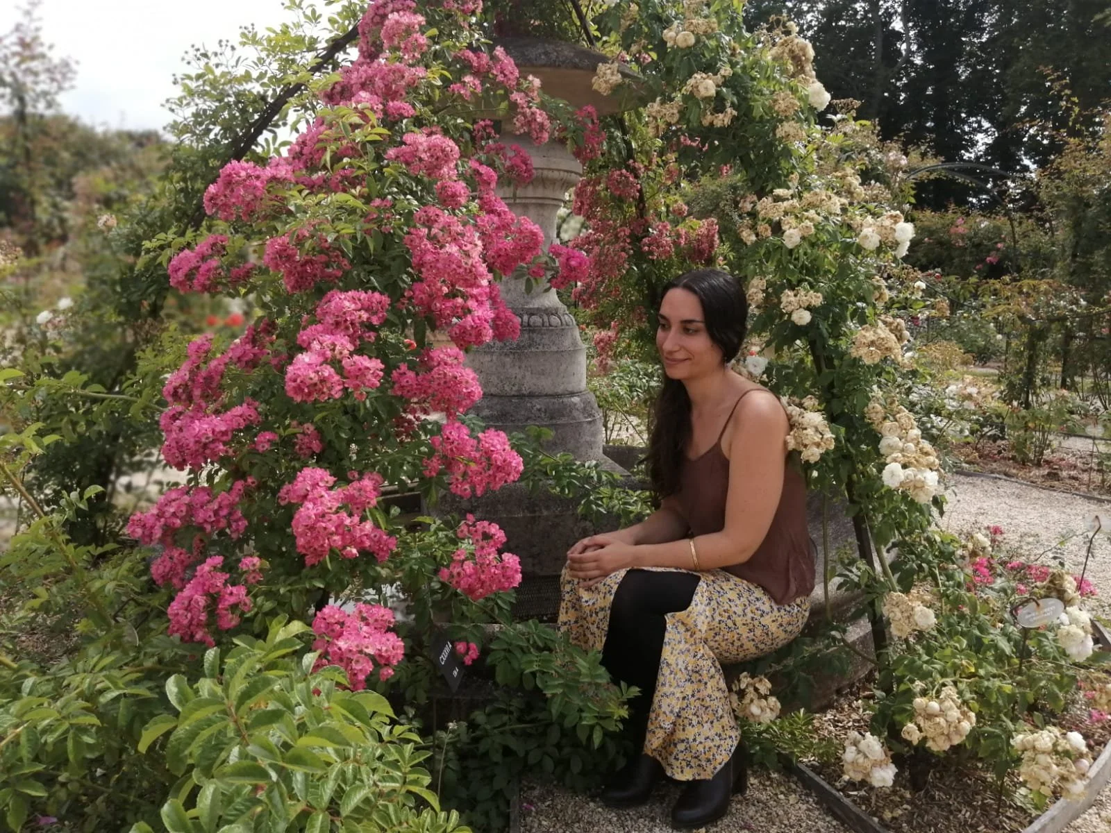 daphné iris caillol assise parmi des rosiers roses et blancs dans un jardin, près d'une fontaine en pierre.