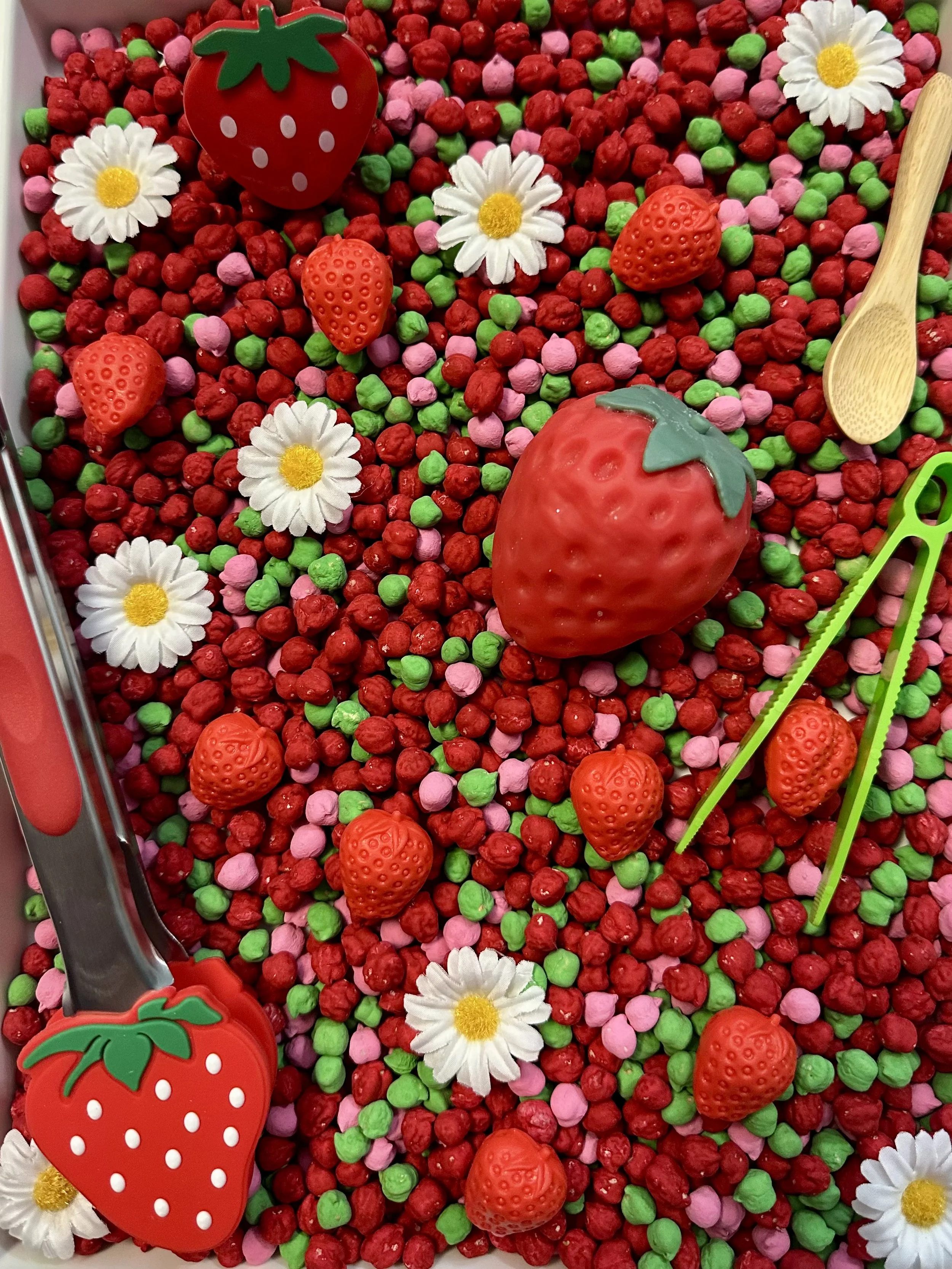 Strawberry Sensory Play Kit