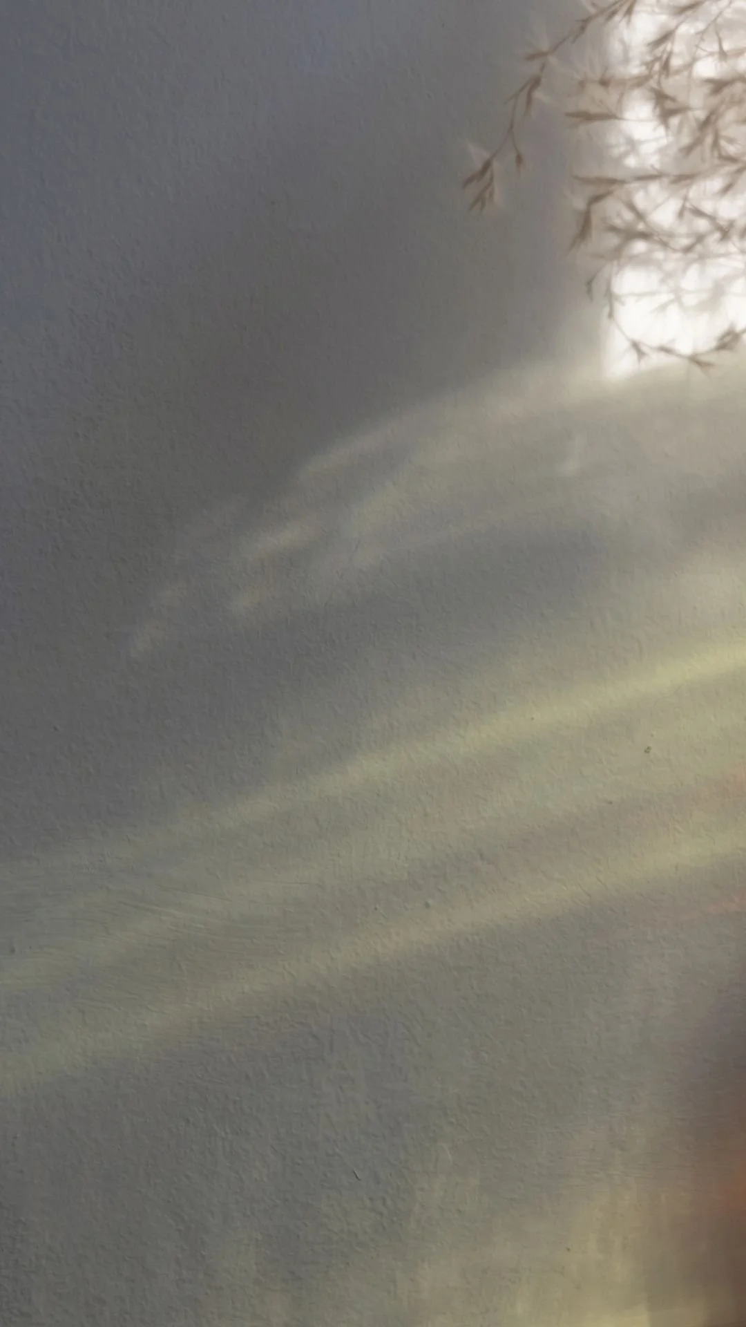 Untitled design-2.jpg