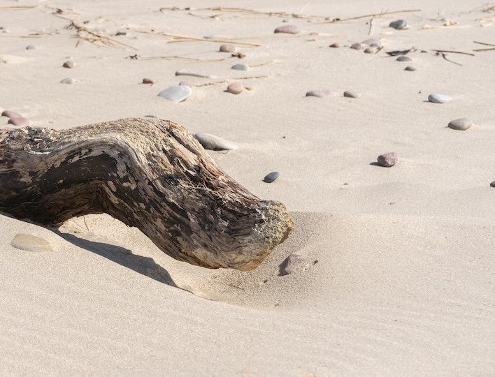 Get Started with Grey Dunes