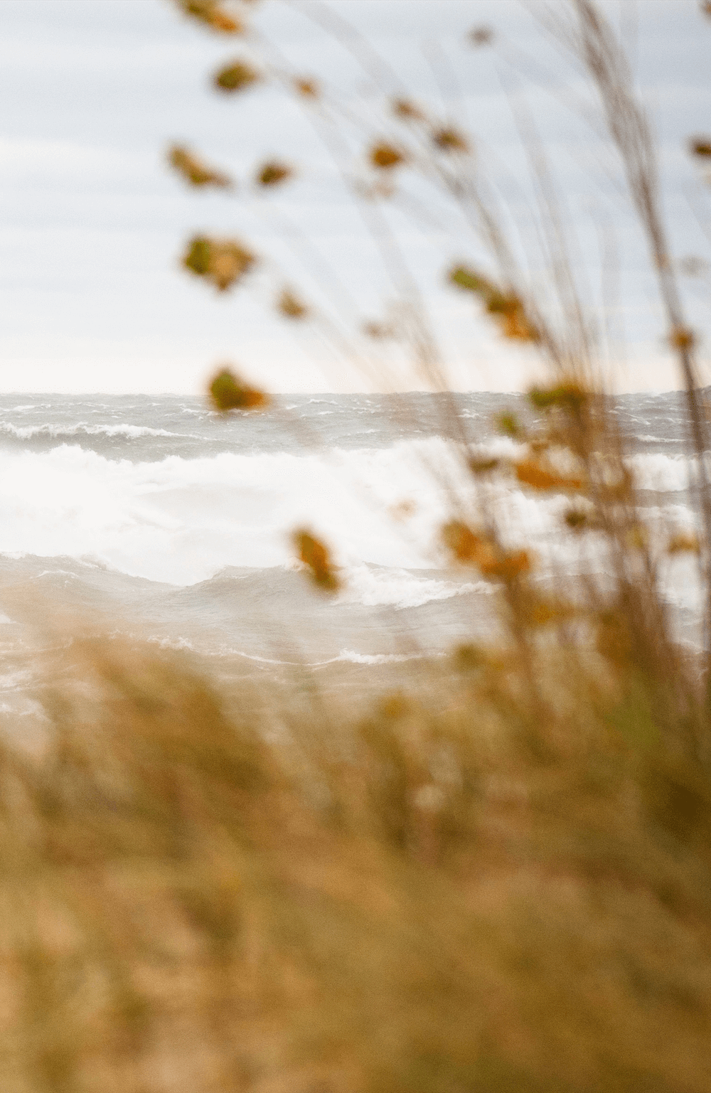 West Michigan Family Office Advisors