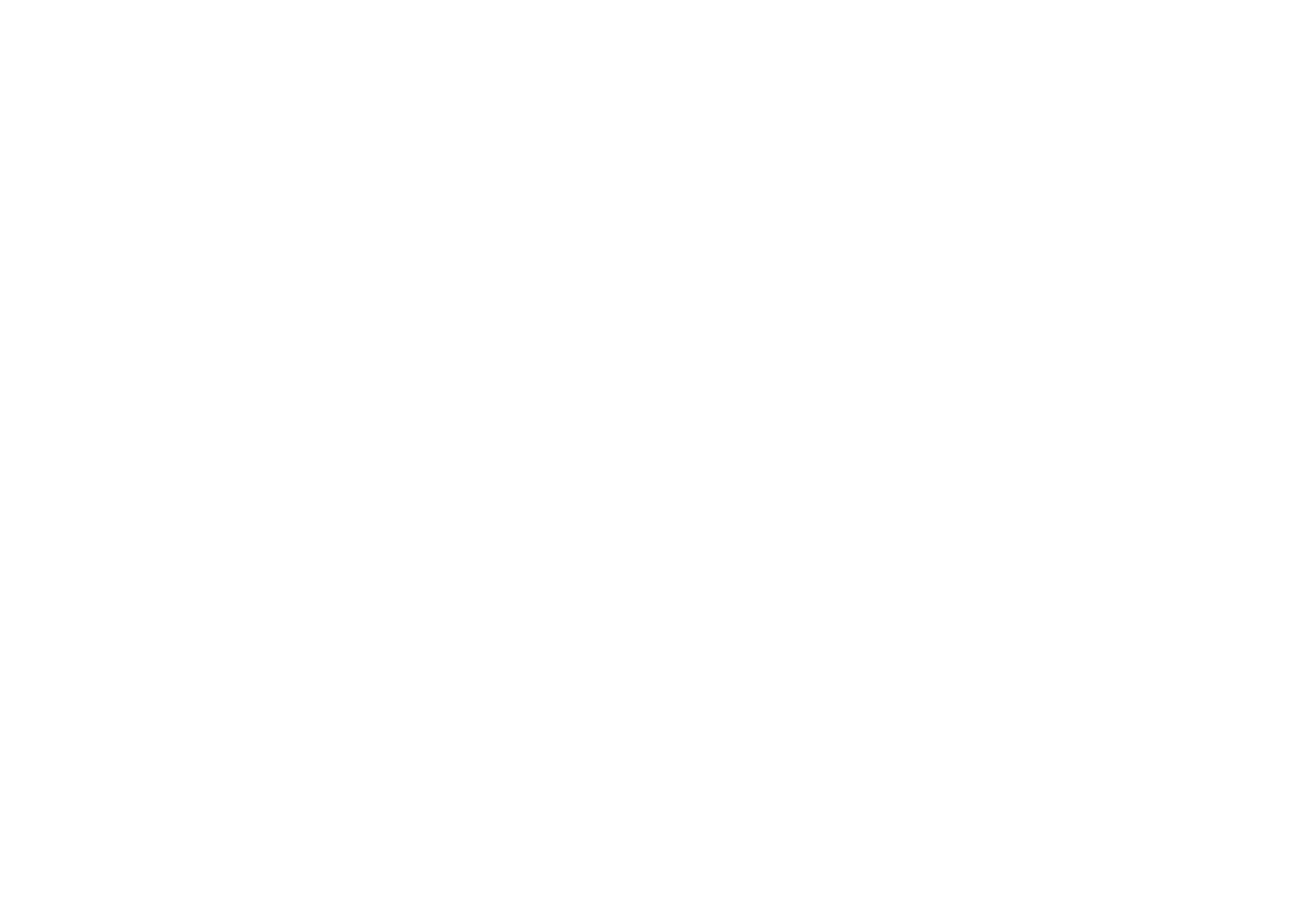 PAYBACK brand logo