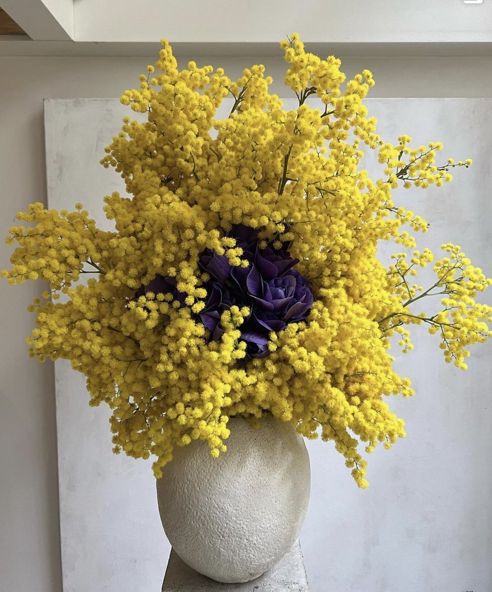 Maximal Viable Brand (MxVBs©) flips the script. MxVB creates strategic resilience - a clear position that can flex and evolve while maintaining coherent identity.