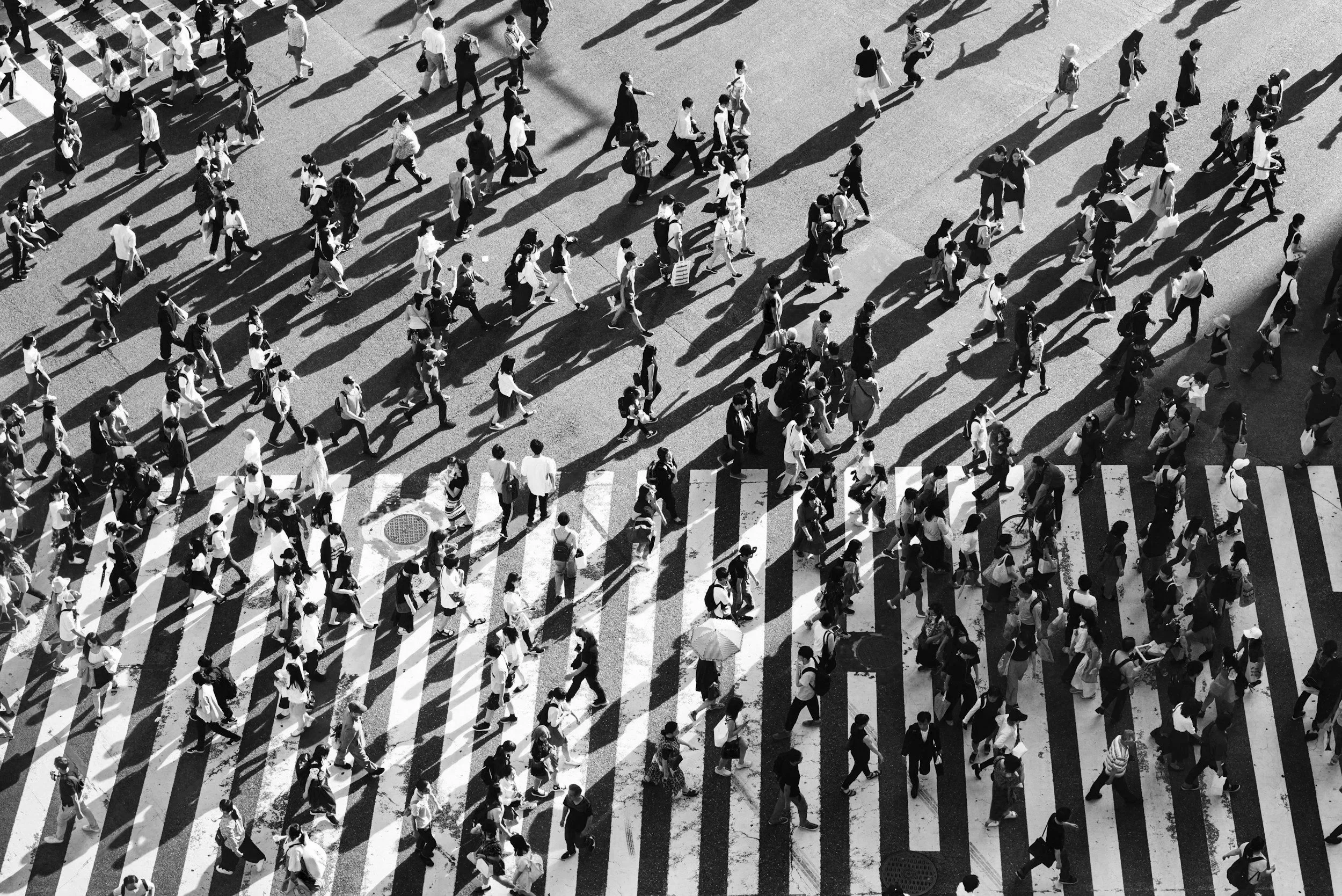 A large crowd of pedestrians crossing a street on a crosswalk in an overhead view, with shadows cast by their bodies in sunlight.