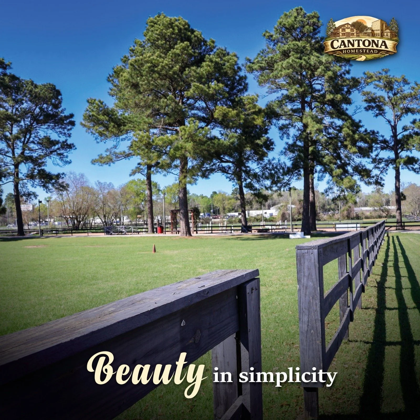 There is magic in the simplest things. 
✨ Sometimes, all we need is an open landscape and a clear sky to recharge our energy. Enjoy the serenity of our spaces. 🌳🌤️

#CantonaHomestead #TomballTX #TomballMoms #TheWoodlandsMoms #HoustonBirthdayParty #