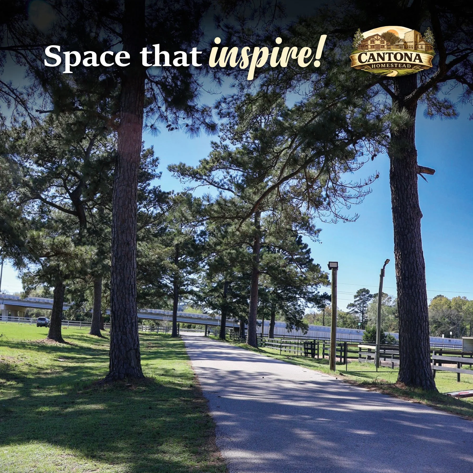 Looking for the perfect place for your next celebration or gathering?
Cantona Homestead is where inspiration begins. ✨

 📍 https://maps.app.goo.gl/o7zvD5AZWqVyz2xQ7

#CantonaHomestead #TomballTX #TheWoodlandsTX #HoustonFamilyFun #PettingZooParties