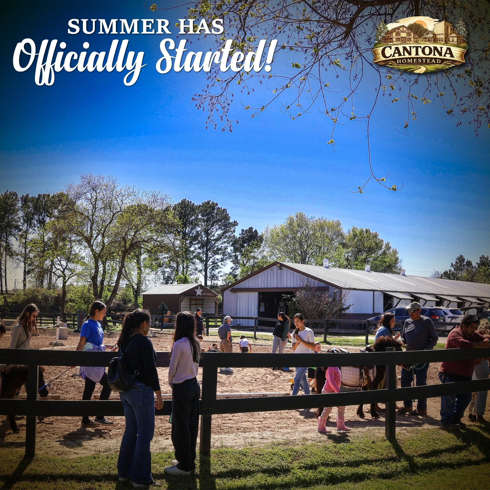 June is here, bringing days filled with nature, games, and unforgettable moments! 🌿✨ At CANTONA HOMESTEAD, every visit becomes a cherished family experience.

#CantonaHomestead #TomballTX #HoustonFamilyFun #FarmBirthdayParties