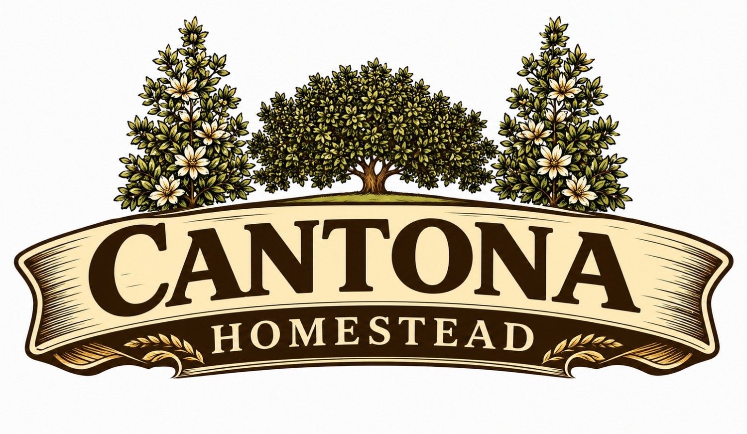 Cantona Homestead