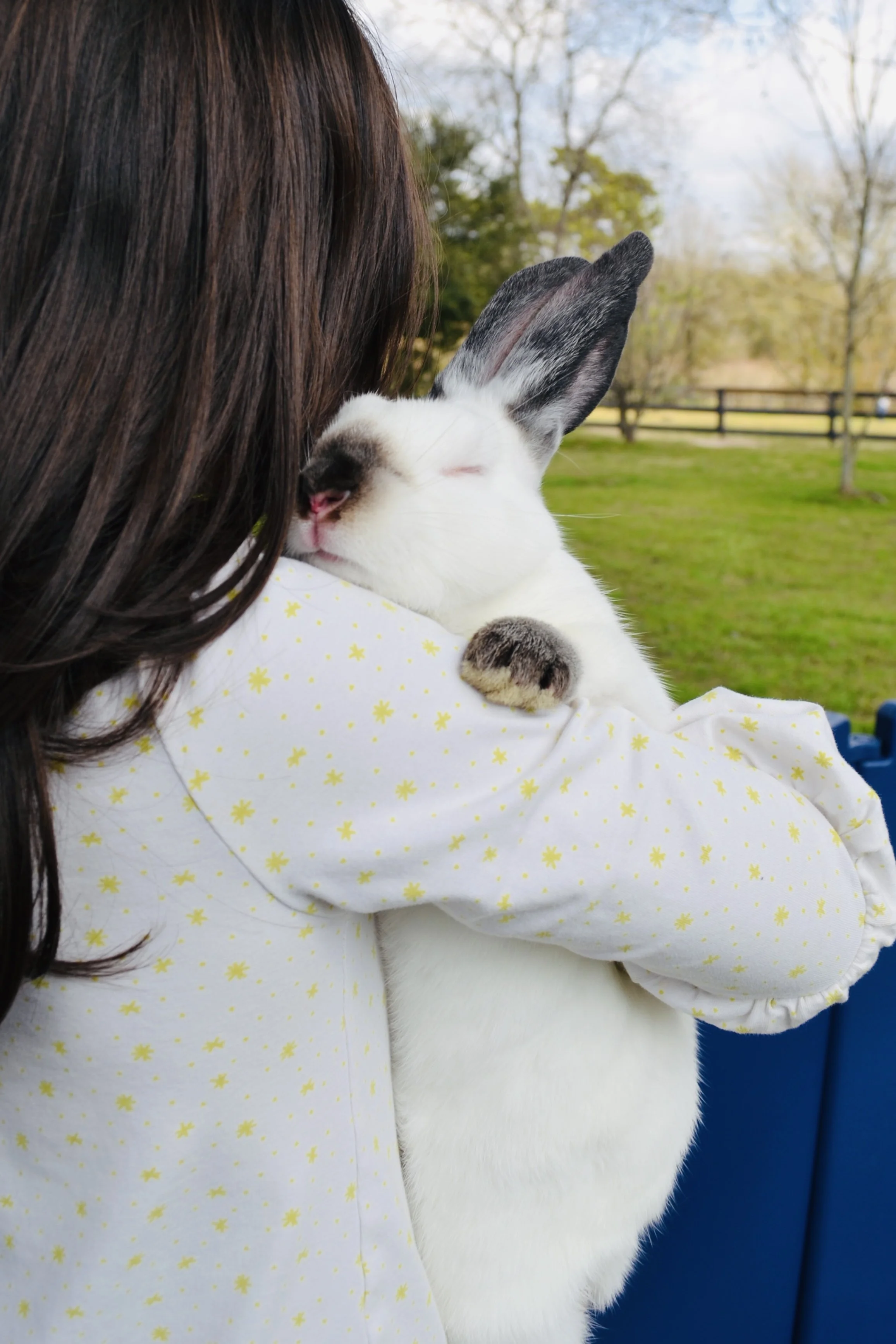 Petting Zoo & Pony Rides in The Woodlands, Tomball & Spring Texas