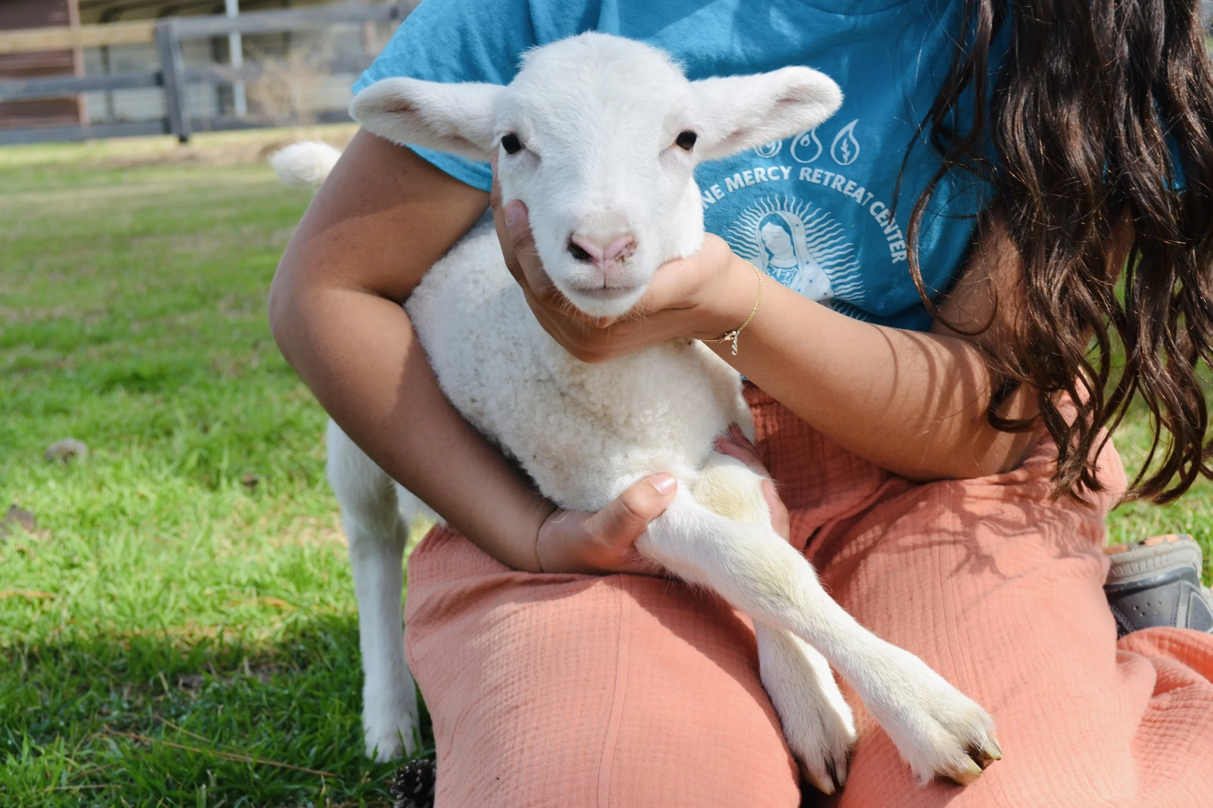 Children petting baby goats at Cantona Homestead petting zoo in Tomball, Texas
