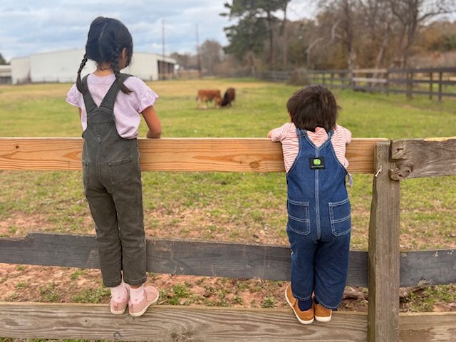 Petting Zoo & Pony Rides in Tomball TX | Cantona Homestead