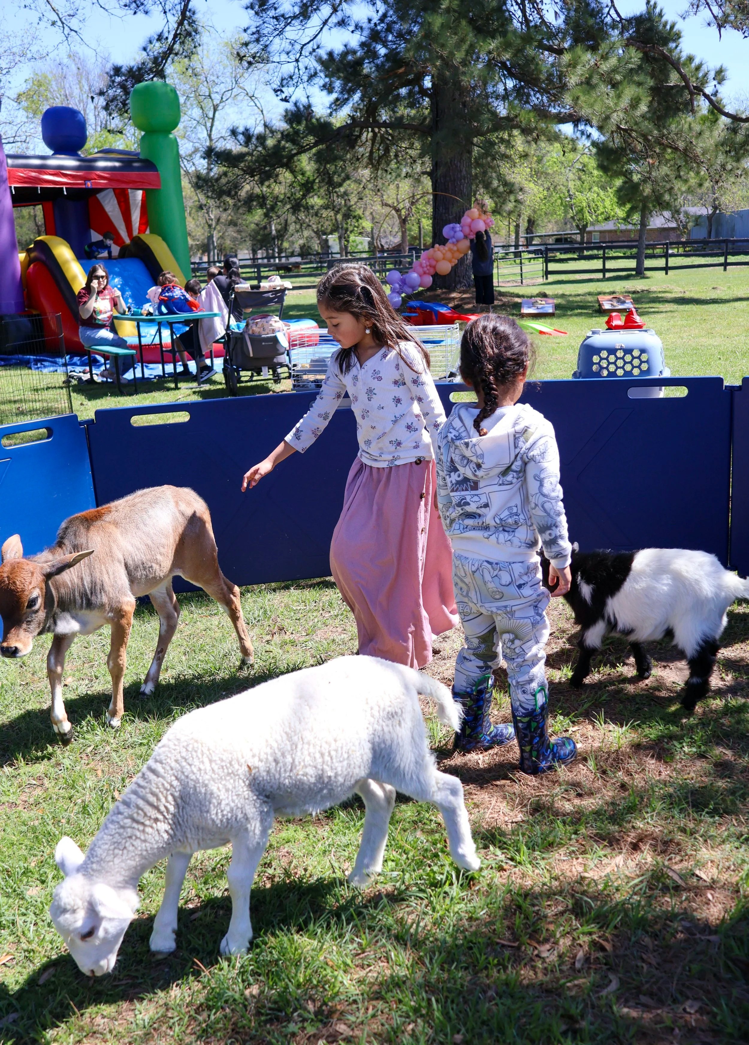 petting zoo birthday party in Houston