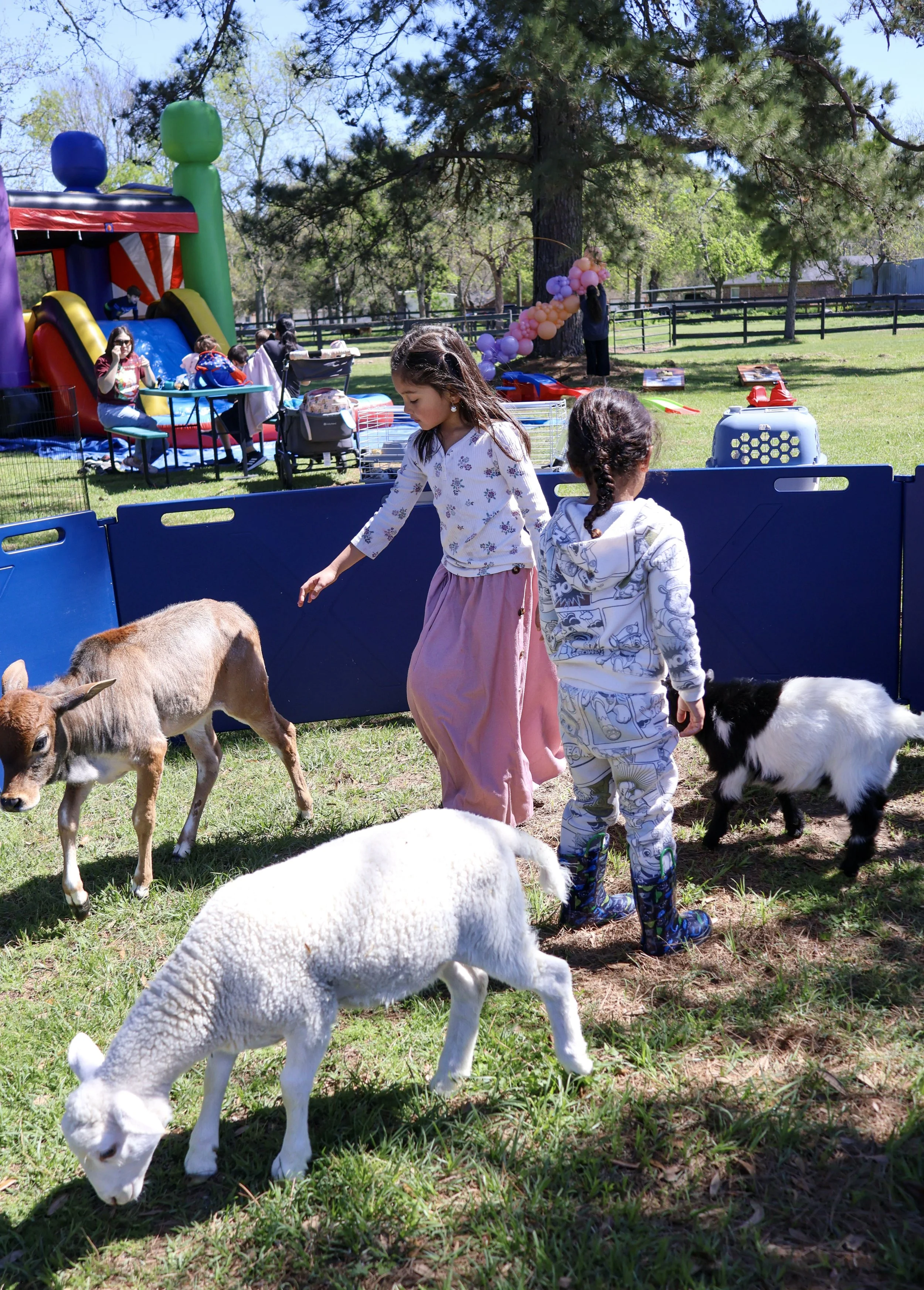 birthdays farm the woodlands texas houston tomball spring