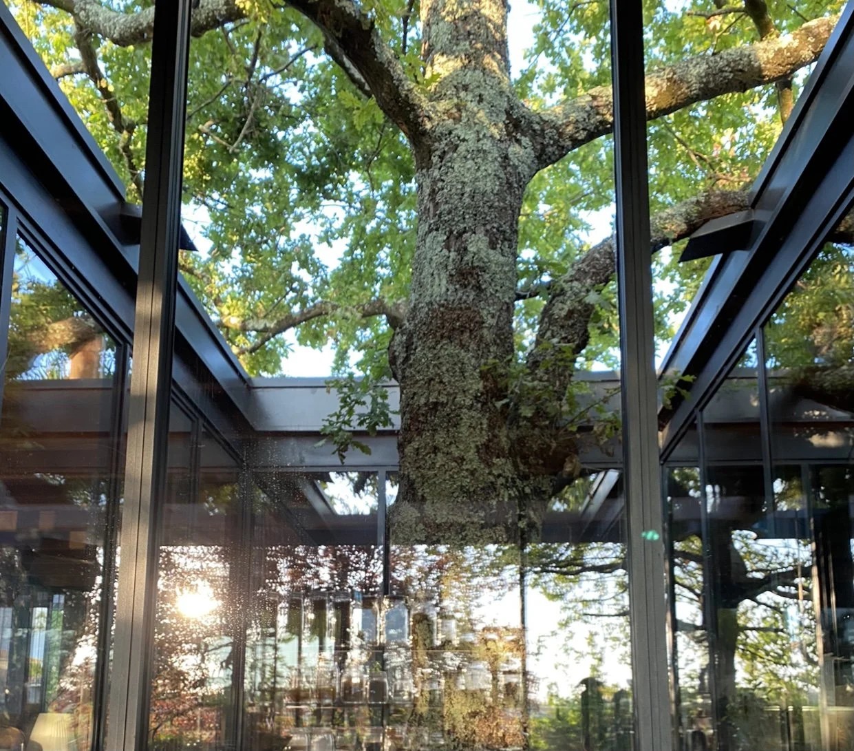 58-MaisonAtelier-Patio.jpg