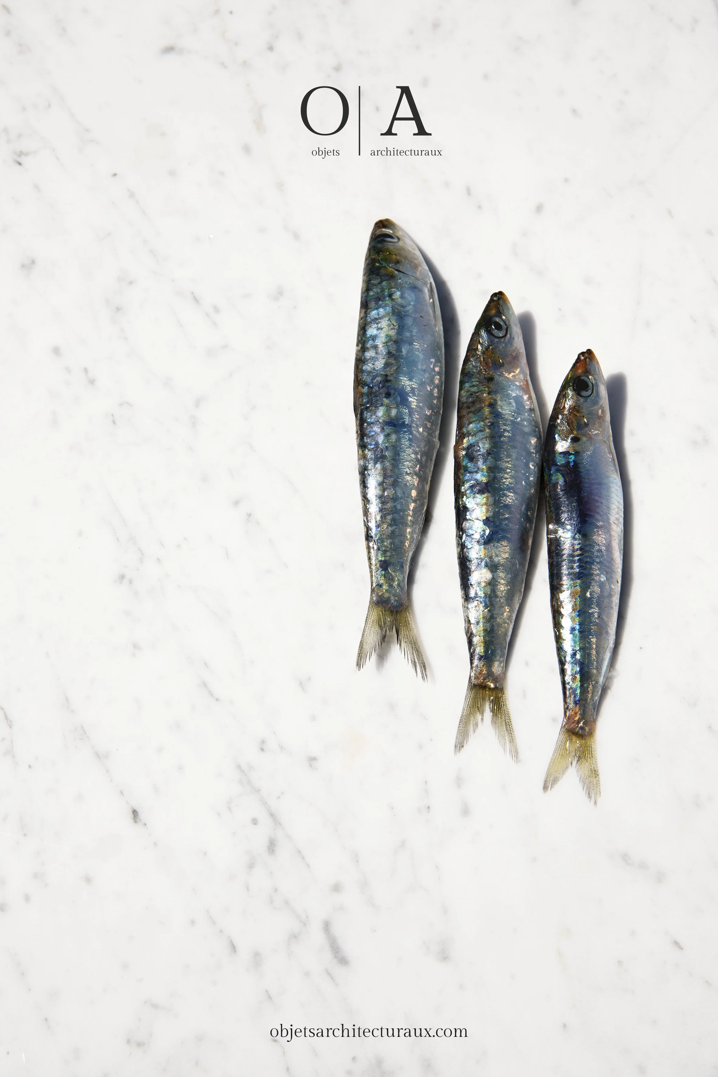 O|A_PLAQUE_BiancoCarrara&Pesce.jpg