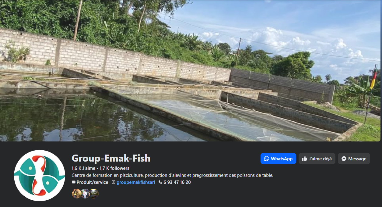 Pisciculture en construction avec plusieurs bassins à moitié remplis d'eau, entourés d'un mur en béton, avec un ciel bleu et des arbres en arrière-plan.