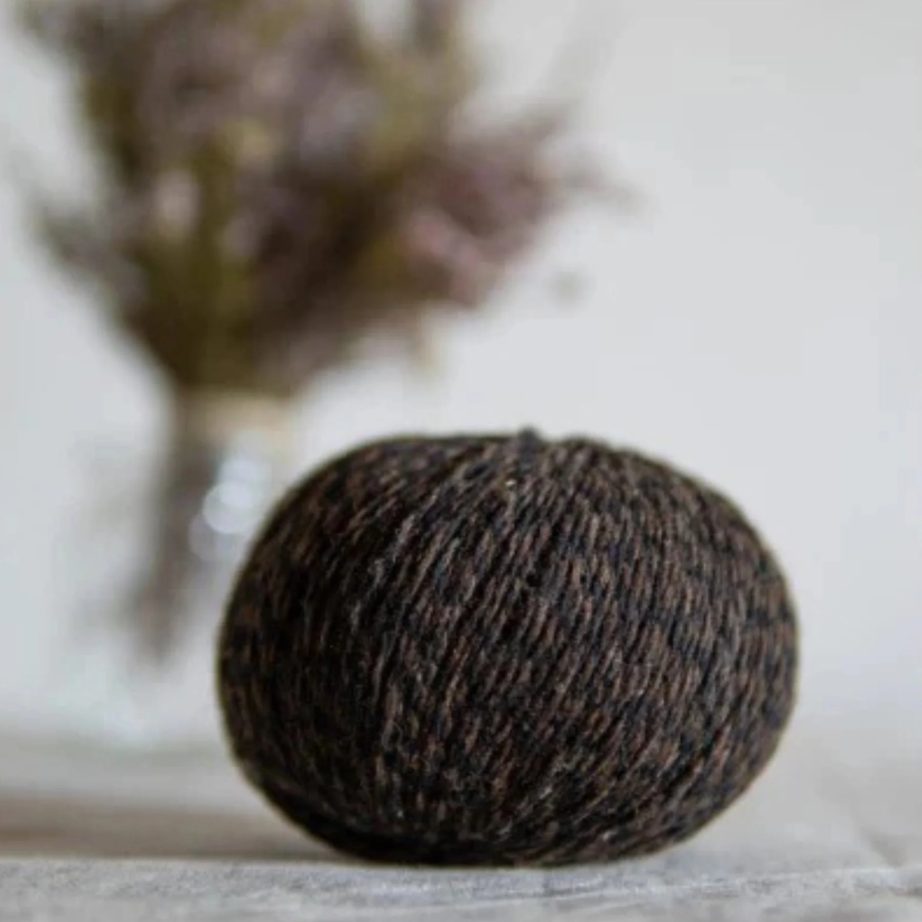 XOLLA Wool Pastoreta Yarn In Eben- Lot of 5