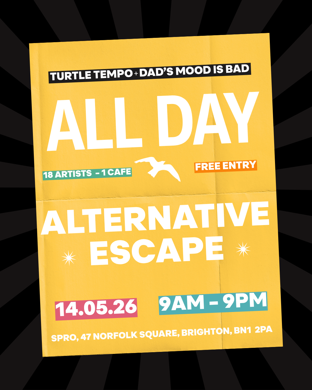 Alternative Escape Acoustic Showcase