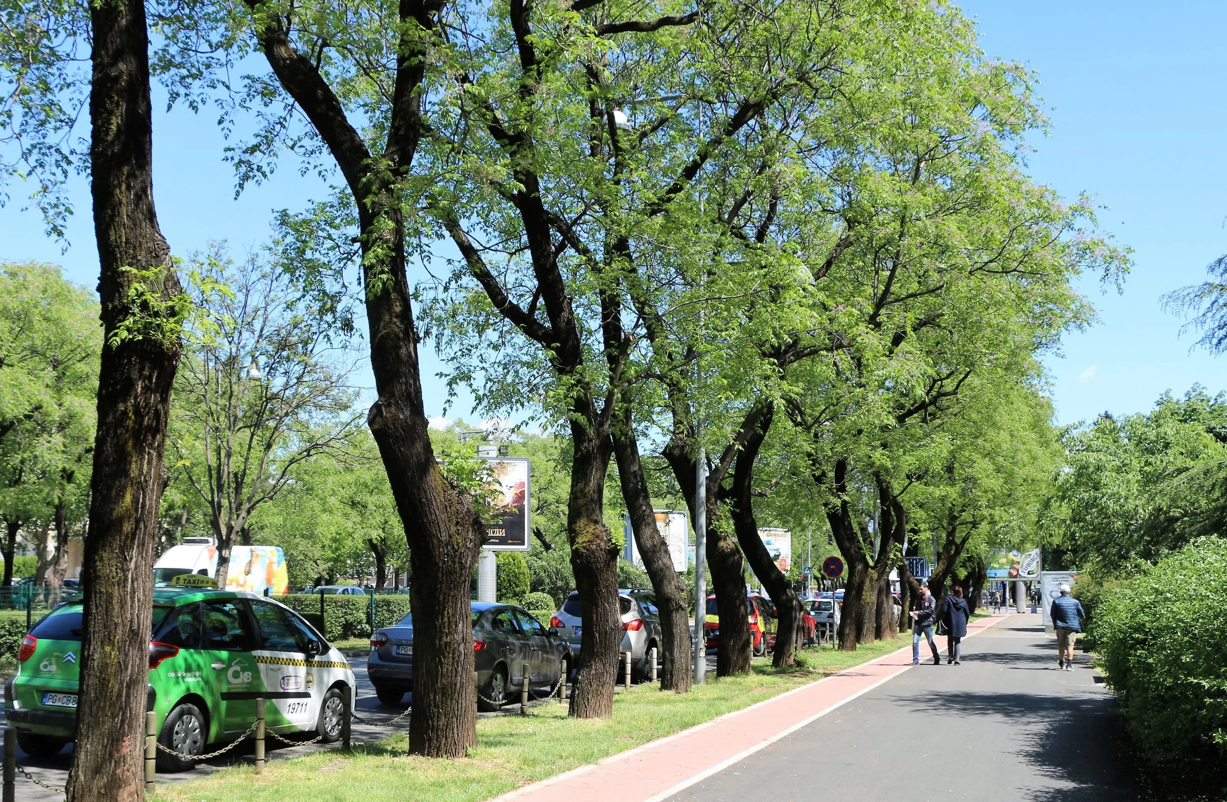 A tree-lined sidewalk with parked cars and pedestrians on a sunny day.
