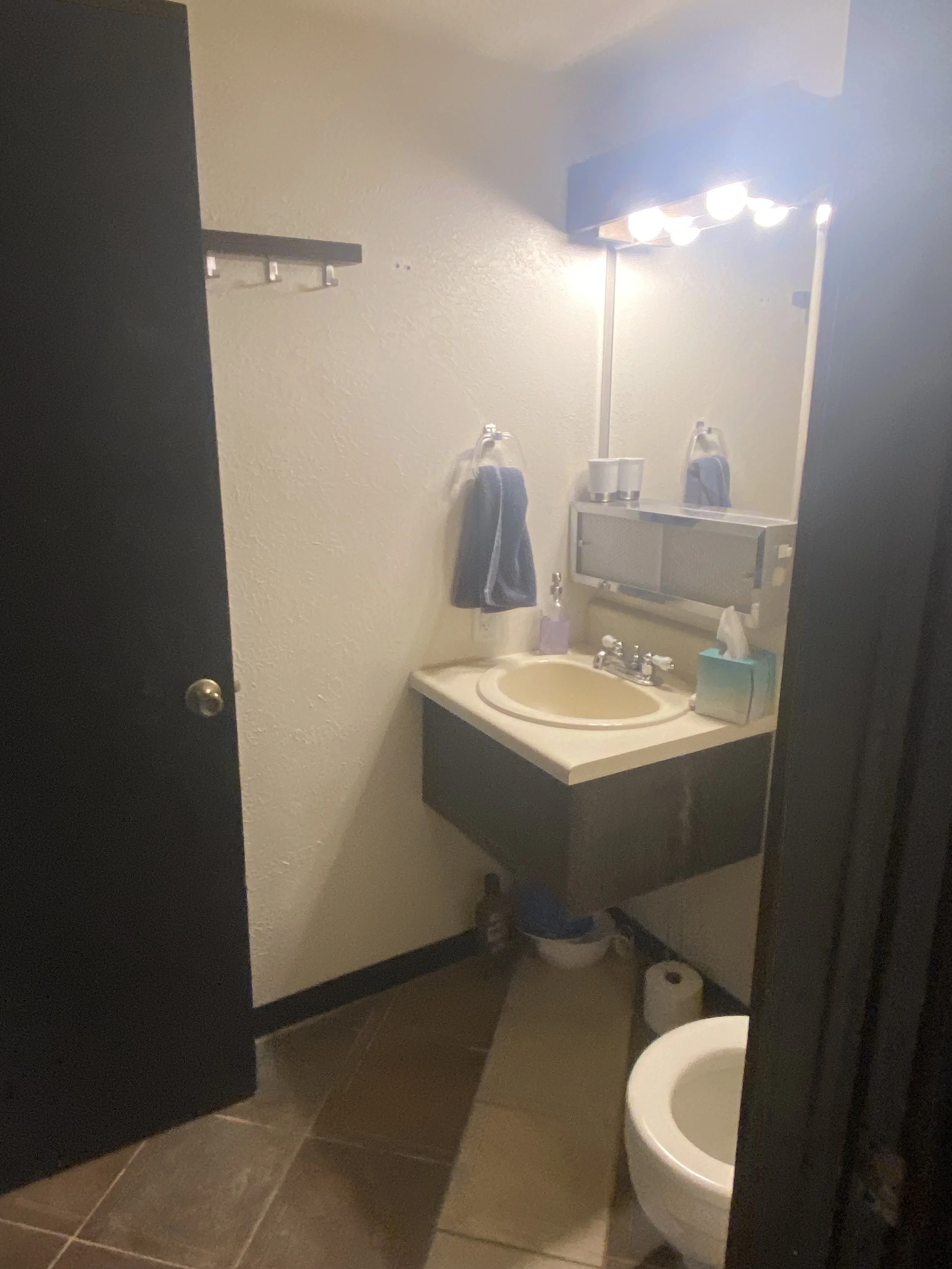 Before-Jack & Jill Bathroom, Breckenridge CO