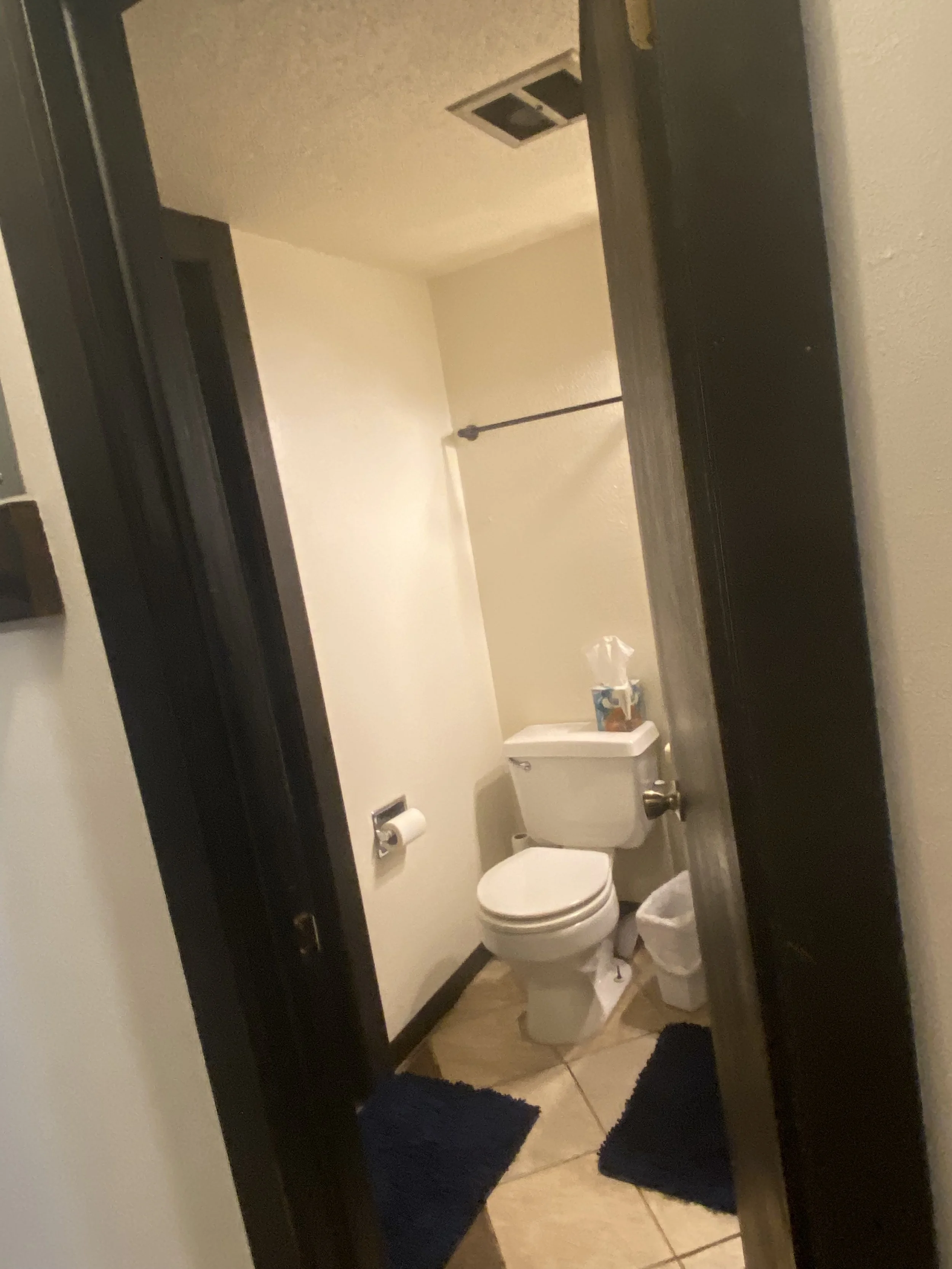 Before-Jack & Jill Bathroom, Breckenridge CO